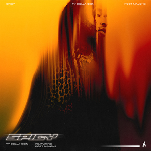 你能帮我下个黄色一级带
