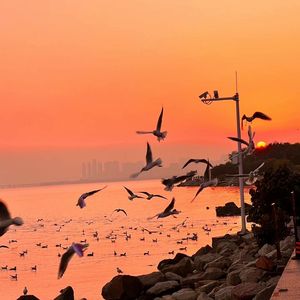 你能帮我下个黄色一级带
