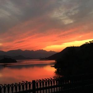 你能帮我下个黄色一级带
